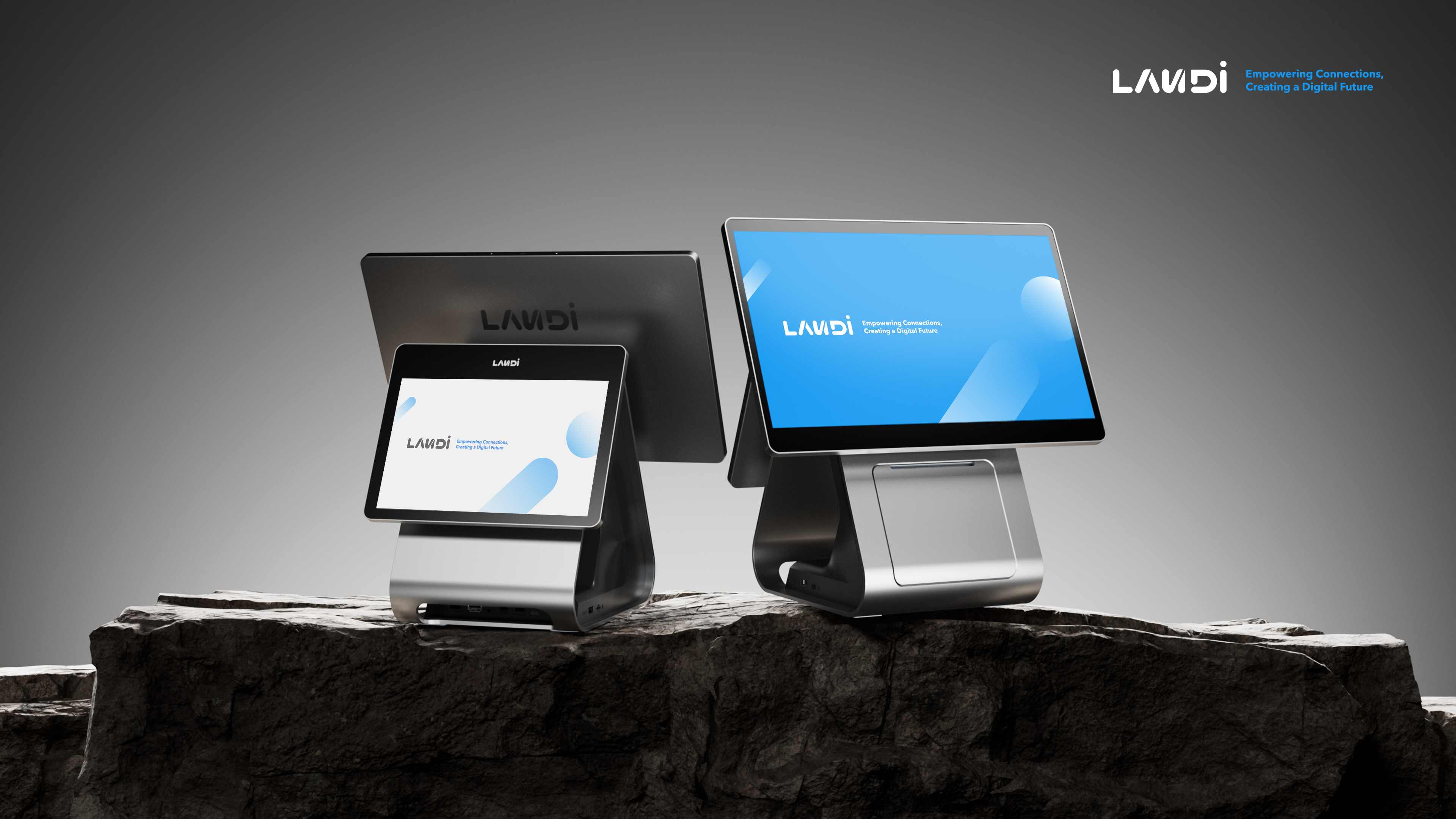 Landi Cx20 - 2 Displays